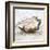 Oyster Study I-Ethan Harper-Framed Art Print