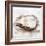 Oyster Study II-Ethan Harper-Framed Premium Giclee Print