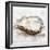 Oyster Study II-Ethan Harper-Framed Premium Giclee Print