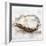 Oyster Study II-Ethan Harper-Framed Art Print