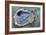 Oyster Two-Jeanette Vertentes-Framed Art Print