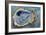 Oyster Two-Jeanette Vertentes-Framed Art Print