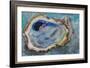Oyster Two-Jeanette Vertentes-Framed Art Print