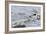 Oystercatcher Landing on Rock-null-Framed Photographic Print