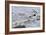 Oystercatcher Landing on Rock-null-Framed Photographic Print