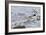 Oystercatcher Landing on Rock-null-Framed Photographic Print