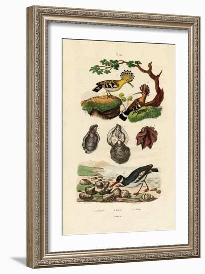 Oysters, 1833-39-null-Framed Giclee Print