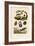 Oysters, 1833-39-null-Framed Giclee Print