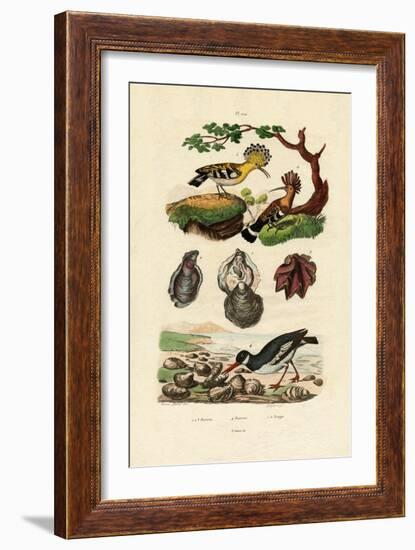 Oysters, 1833-39-null-Framed Giclee Print