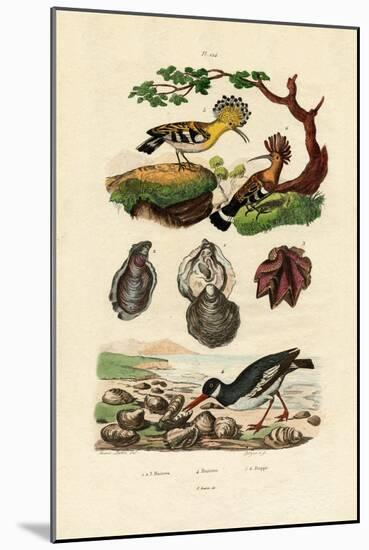 Oysters, 1833-39-null-Mounted Giclee Print