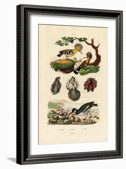 Oysters, 1833-39-null-Framed Giclee Print