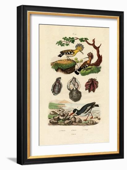 Oysters, 1833-39-null-Framed Giclee Print