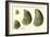 Oysters Ages 1-4-null-Framed Giclee Print