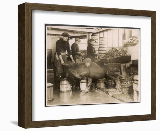 Oysters are Sorted and Packed-null-Framed Photographic Print