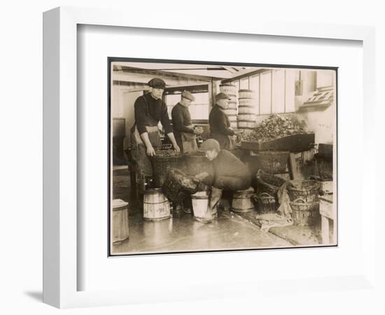 Oysters are Sorted and Packed-null-Framed Photographic Print