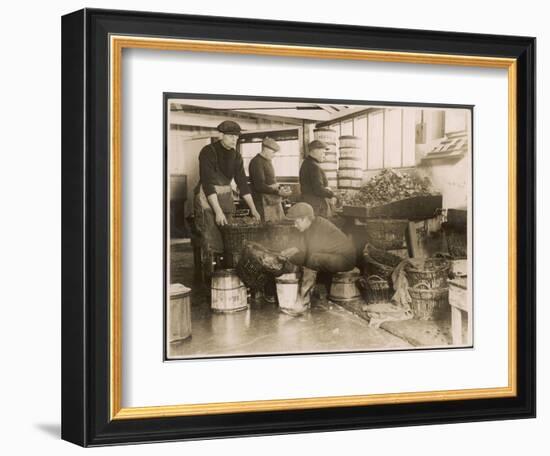 Oysters are Sorted and Packed-null-Framed Photographic Print