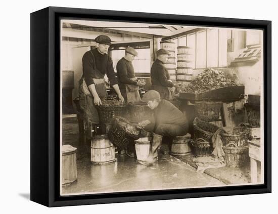 Oysters are Sorted and Packed-null-Framed Premier Image Canvas
