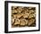 Oysters at Sydney Fish Market, Sydney, Australia-David Wall-Framed Photographic Print