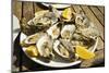 Oysters (huitres) ready to eat, thousands of tons of the shellfish are grown annually here, Ile de -Robert Francis-Mounted Photographic Print