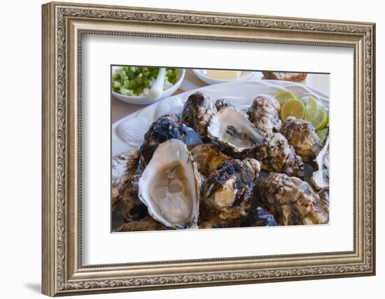 Oysters, Kilkenny, County Kilkenny, Leinster, Republic of Ireland (Eire), Europe-Nico Tondini-Framed Photographic Print