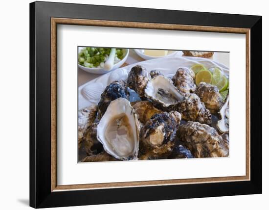 Oysters, Kilkenny, County Kilkenny, Leinster, Republic of Ireland (Eire), Europe-Nico Tondini-Framed Photographic Print