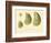 Oysters Natural Size-null-Framed Giclee Print