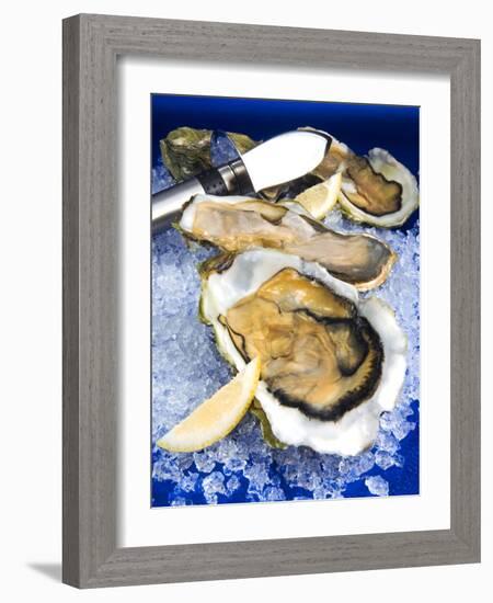 Oysters on Ice (Ostrea Edulis), France, Europe-null-Framed Photographic Print