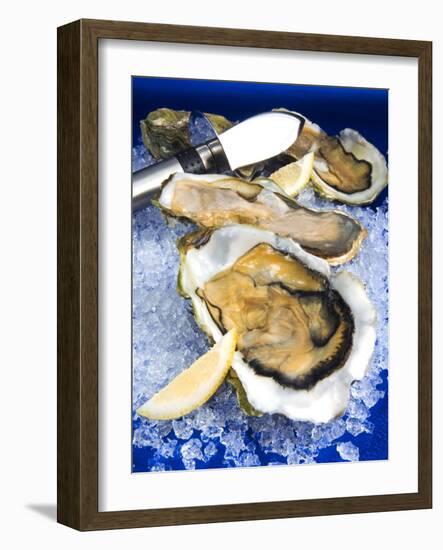 Oysters on Ice (Ostrea Edulis), France, Europe-null-Framed Photographic Print