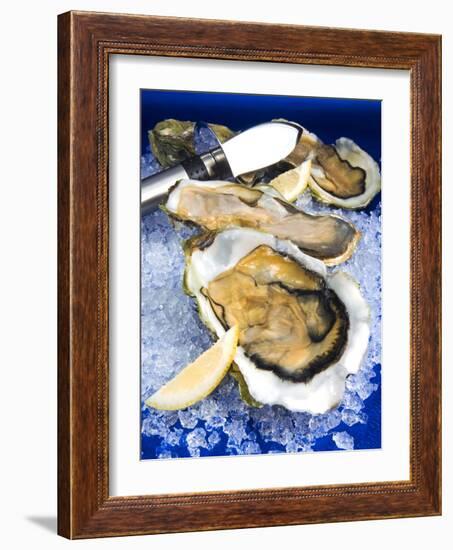 Oysters on Ice (Ostrea Edulis), France, Europe-null-Framed Photographic Print