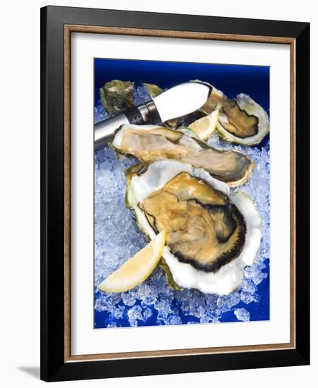 Oysters on Ice (Ostrea Edulis), France, Europe-null-Framed Photographic Print