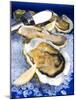 Oysters on Ice (Ostrea Edulis), France, Europe-null-Mounted Photographic Print