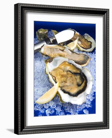 Oysters on Ice (Ostrea Edulis), France, Europe-null-Framed Photographic Print