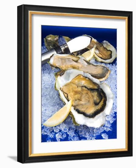 Oysters on Ice (Ostrea Edulis), France, Europe-null-Framed Photographic Print