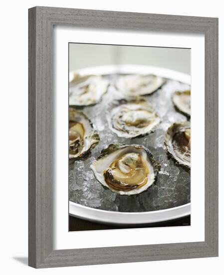 Oysters on Ice-Matilda Lindeblad-Framed Photographic Print