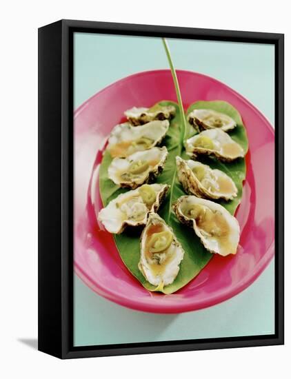 Oysters with Tomato Oil and Jalapeno (Chili Rings)-Alexander Van Berge-Framed Premier Image Canvas