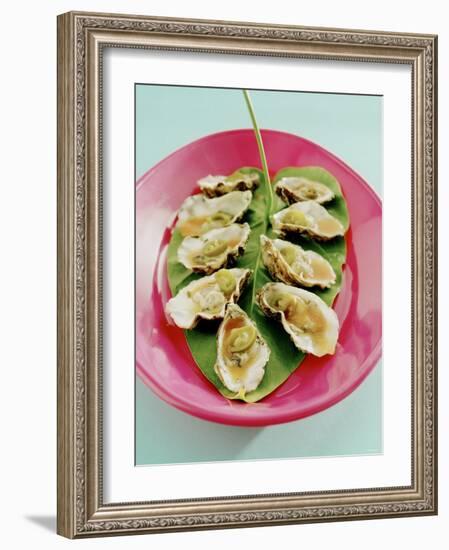 Oysters with Tomato Oil and Jalapeno (Chili Rings)-Alexander Van Berge-Framed Photographic Print