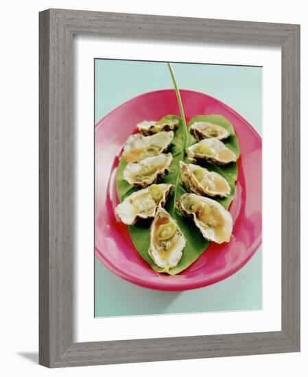 Oysters with Tomato Oil and Jalapeno (Chili Rings)-Alexander Van Berge-Framed Photographic Print