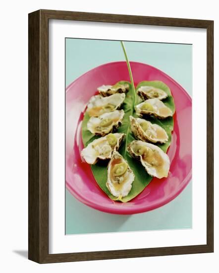 Oysters with Tomato Oil and Jalapeno (Chili Rings)-Alexander Van Berge-Framed Photographic Print