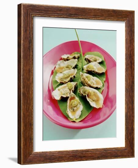 Oysters with Tomato Oil and Jalapeno (Chili Rings)-Alexander Van Berge-Framed Photographic Print