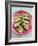 Oysters with Tomato Oil and Jalapeno (Chili Rings)-Alexander Van Berge-Framed Photographic Print