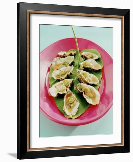 Oysters with Tomato Oil and Jalapeno (Chili Rings)-Alexander Van Berge-Framed Photographic Print