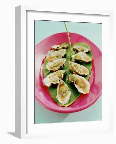 Oysters with Tomato Oil and Jalapeno (Chili Rings)-Alexander Van Berge-Framed Photographic Print