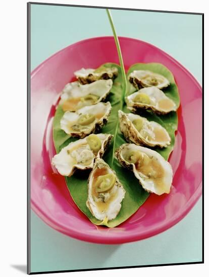 Oysters with Tomato Oil and Jalapeno (Chili Rings)-Alexander Van Berge-Mounted Photographic Print