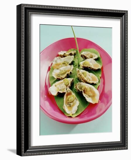 Oysters with Tomato Oil and Jalapeno (Chili Rings)-Alexander Van Berge-Framed Photographic Print