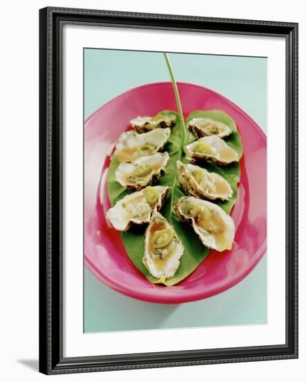 Oysters with Tomato Oil and Jalapeno (Chili Rings)-Alexander Van Berge-Framed Photographic Print