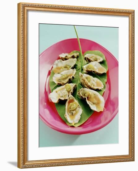 Oysters with Tomato Oil and Jalapeno (Chili Rings)-Alexander Van Berge-Framed Photographic Print