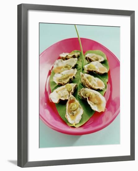 Oysters with Tomato Oil and Jalapeno (Chili Rings)-Alexander Van Berge-Framed Photographic Print