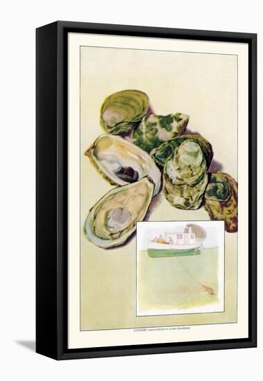 Oysters-null-Framed Stretched Canvas