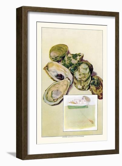 Oysters-null-Framed Art Print