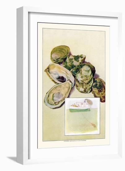 Oysters-null-Framed Art Print